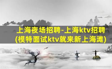 上海夜场招聘-上海ktv招聘(模特面试ktv就来新上海滩)